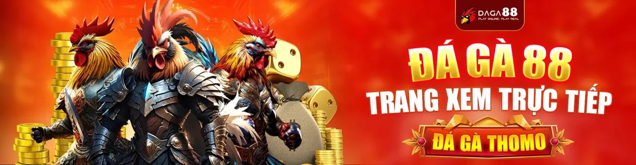 Đá Gà Trực Tuyến Hấp Dẫn tại f8bet8