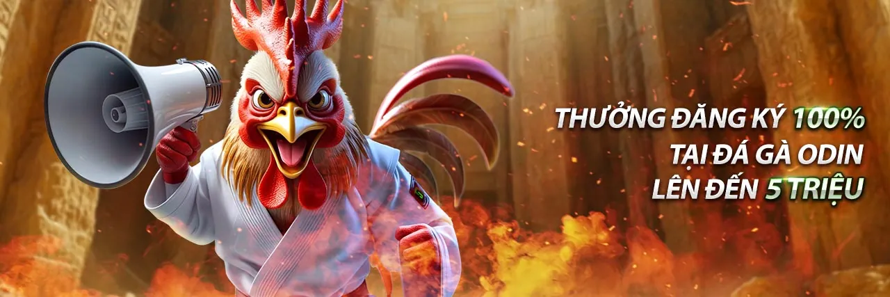 Giao diện đăng nhập ứng dụng 13wim với các yếu tố cá cược trực tuyến an toàn