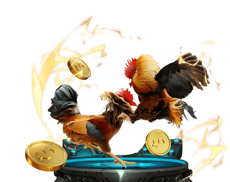 Người chơi quản lý tài chính cá cược thể thao